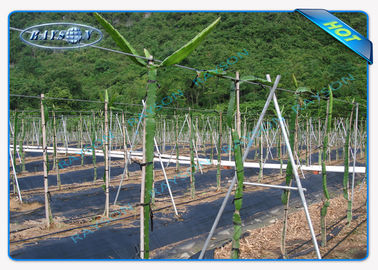 Enviro Anti UV Polypropylene Garden Weed Control Fabric / حصيرة للمناظر الطبيعيةالزراعة غير المنسوجة