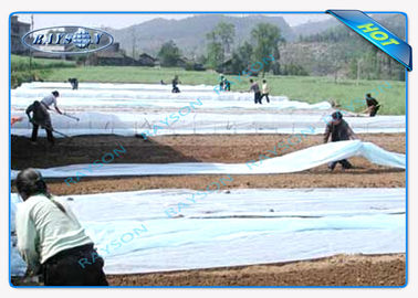 غطاء غير منسوج متين للزراعة على نطاق واسع لزراعة الجينسنغ