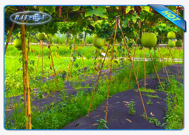 Enviro Vegetable Garden Weed Barrier الزراعة غير المنسوجة غطاء نسيج مكافحة الحشائش الأرضية