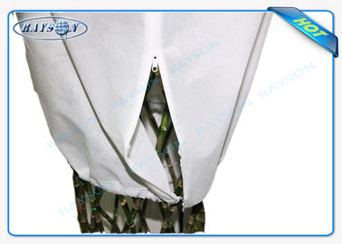 PP Spunbond Agriculture Non Woven Cover Fabric Bag مادة Nonwoven Fabric