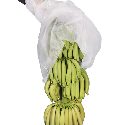 4٪ UV Spunbond Pp حقيبة غطاء الموز غير المنسوجة باللون الأبيض والأزرق