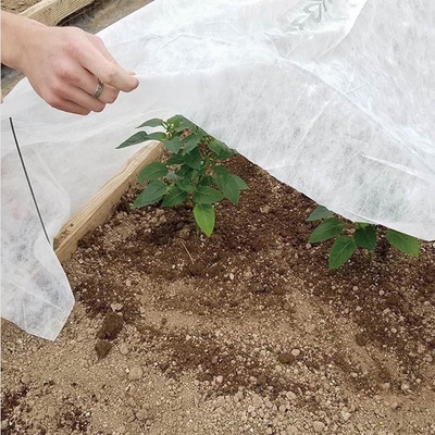 غطاء النبات المضاد للصقيع سبن بوند أقمشة غير منسوجة للزراعة