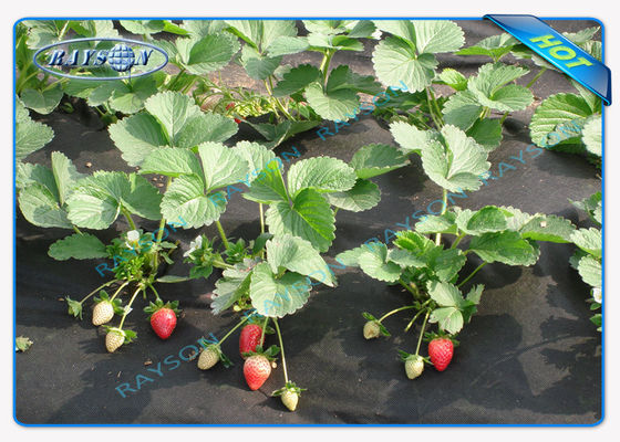 غطاء غير منسوج قابل للتحلل بيولوجيًا شديد التحمل باللون الأسود 1.5 أوقية 40 جرامًا إلى 100 جرامًا