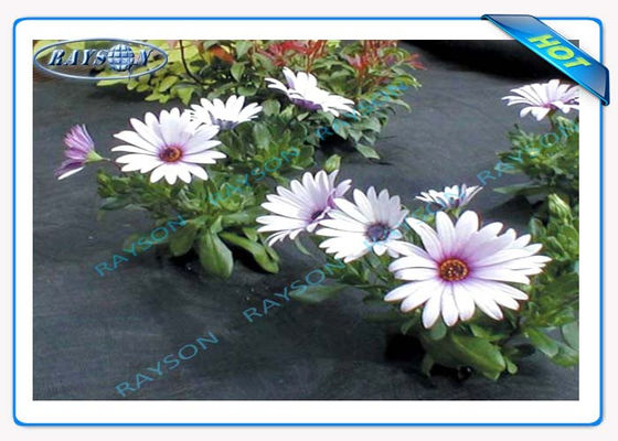 3٪ حماية من الأشعة فوق البنفسجية بضمان 10 سنوات غطاء زراعي غير منسوج سبونبوند باللون الأسود