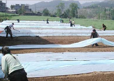 شفّاف Spunbond غير يحوك منظر طبيعيّ بناء لزراعة معمل تغطية