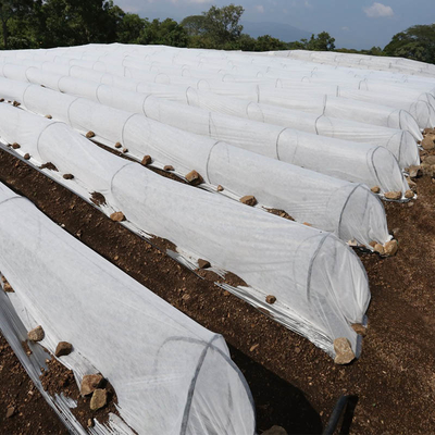 100 ٪ عذراء PP سبونبوند الزراعية غير المنسوجة غطاء حماية الصقيع النبات